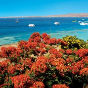 Sharm El Sheikh Sharm El Sheikh